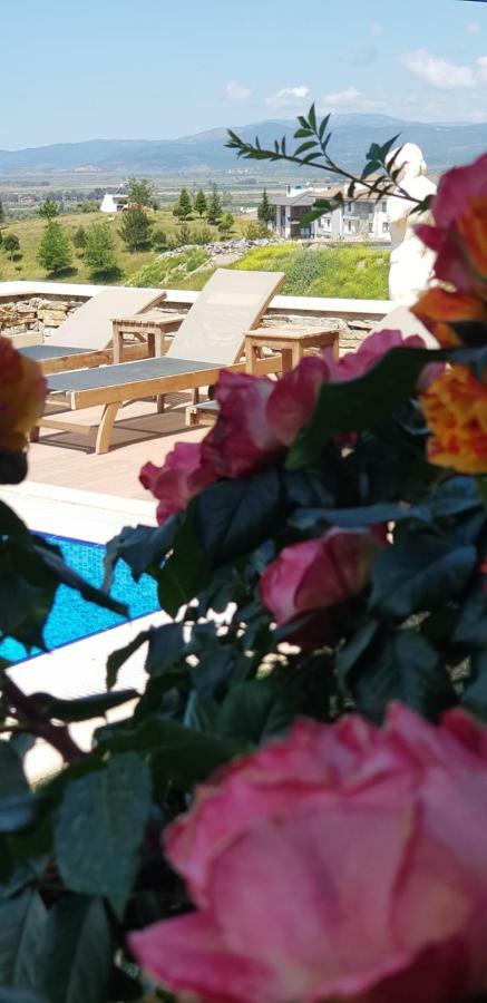 Vinifera Ephesus Hotel 셀주크 외부 사진